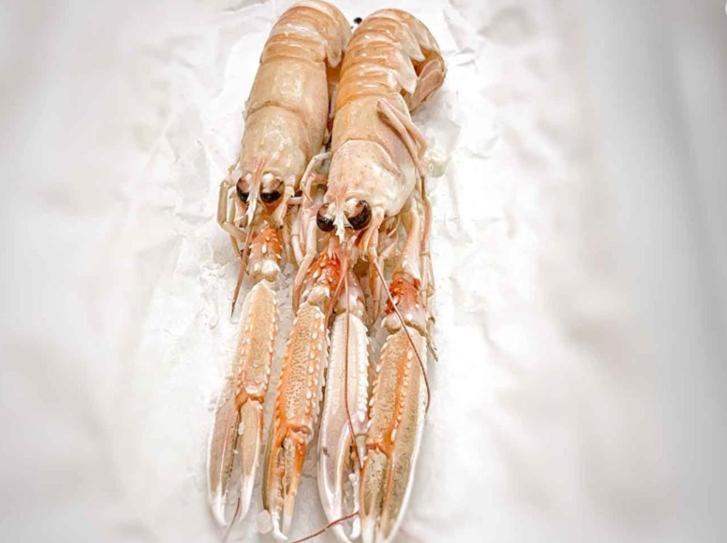 Ristorante Hotel Lucia - 100 Mt Dal Mare 朱利亚诺瓦 外观 照片